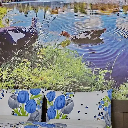 Apartament Pravica *