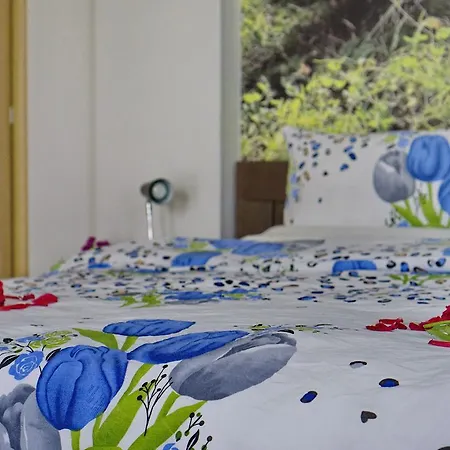Apartment Pravica *